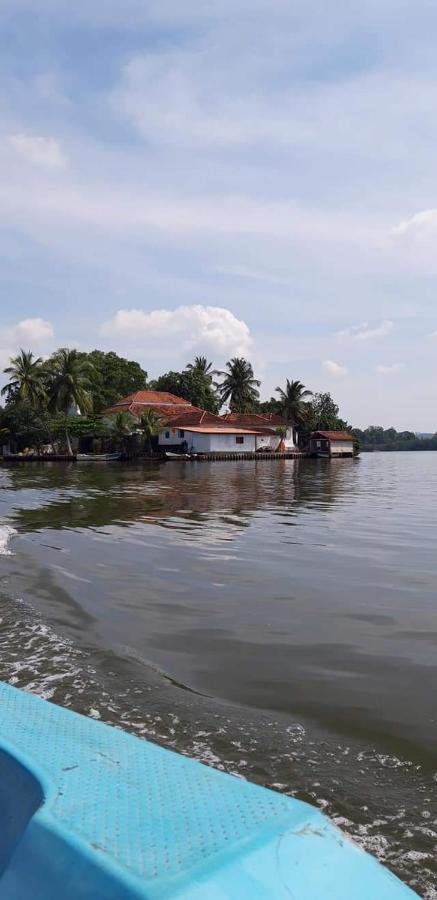 Rashmi Homestay Balapitiya Exterior foto